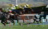 Spreadex sports spread betting horse racing Al Boum Photo Cheltenham Festival