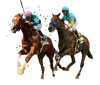 spreadex-sports-betting-bet-10-get-30-offer-horse-racing-landing-page-september-21